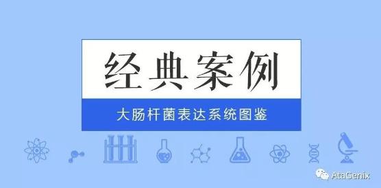 經(jīng)典案例|普健大腸桿菌表達(dá)系統(tǒng)
