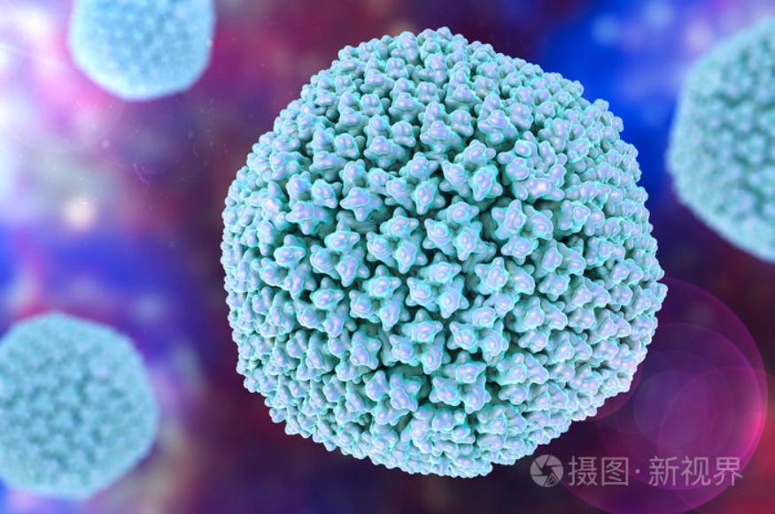 總被要求去內(nèi)毒，究竟是為什么？