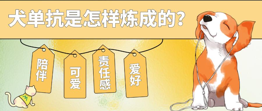 首款犬的單克隆抗體獲批！犬單抗是怎樣煉成的？