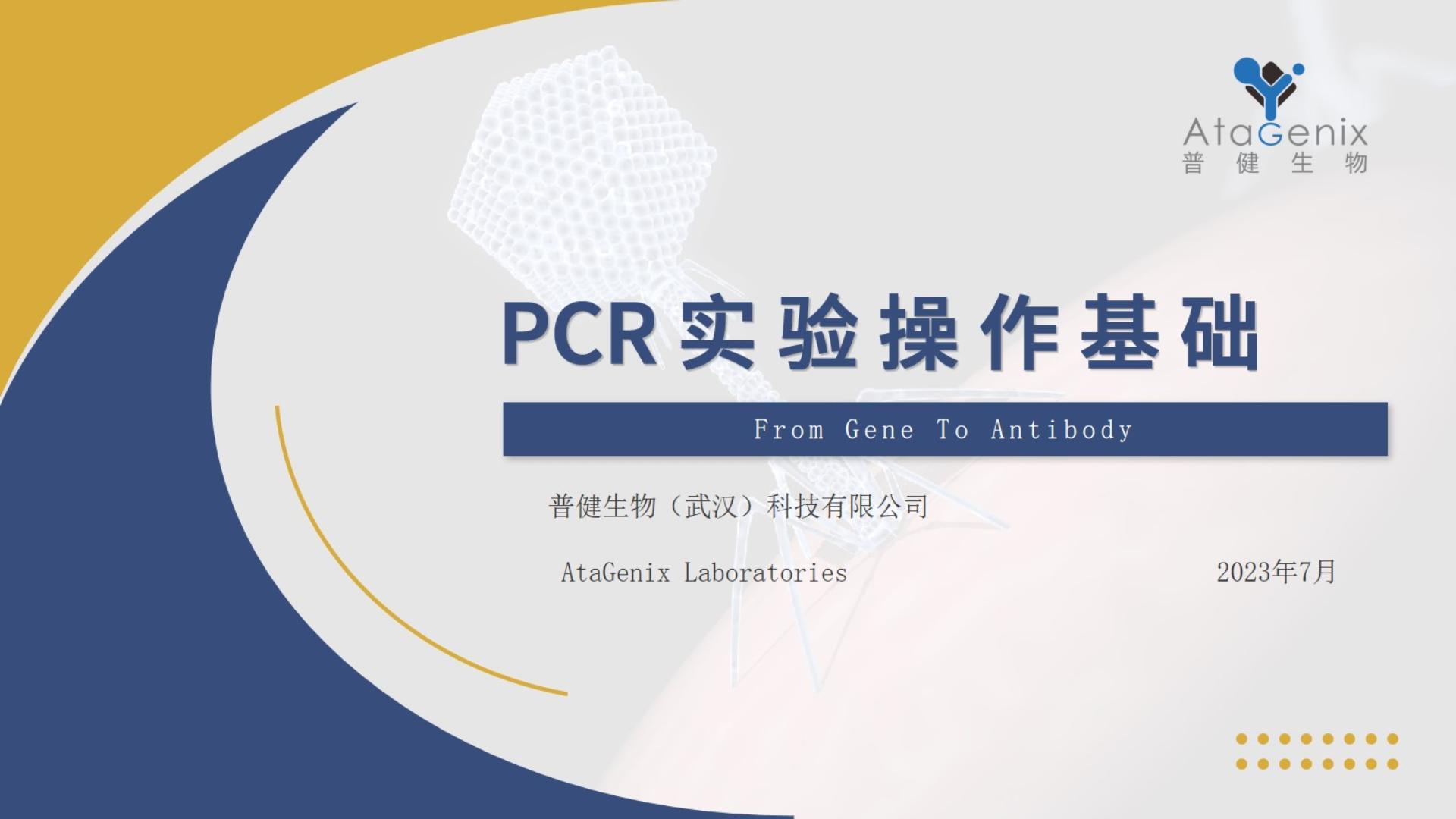 基礎(chǔ)試驗(yàn)操作篇——PCR實(shí)驗(yàn)