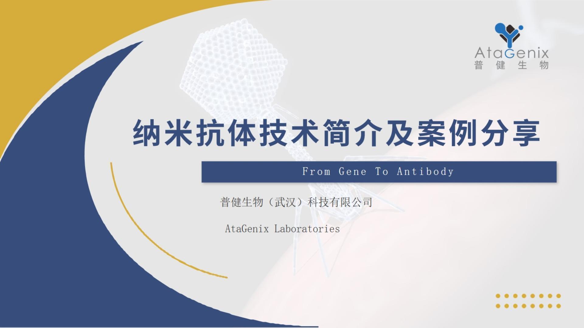 納米抗體制備——納米抗體制備技術(shù)及相關(guān)案例分享