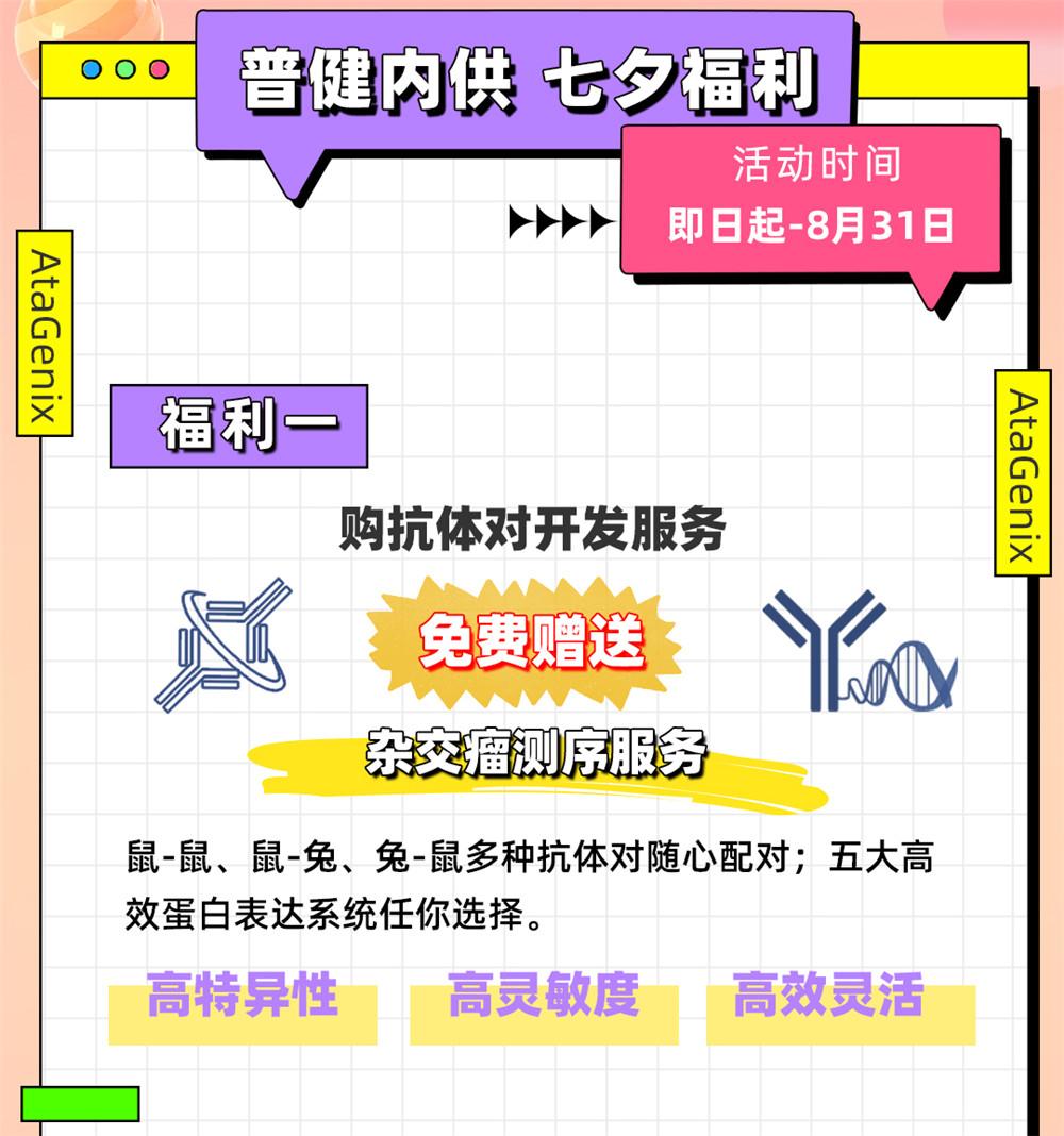 愛在七夕，更在朝夕