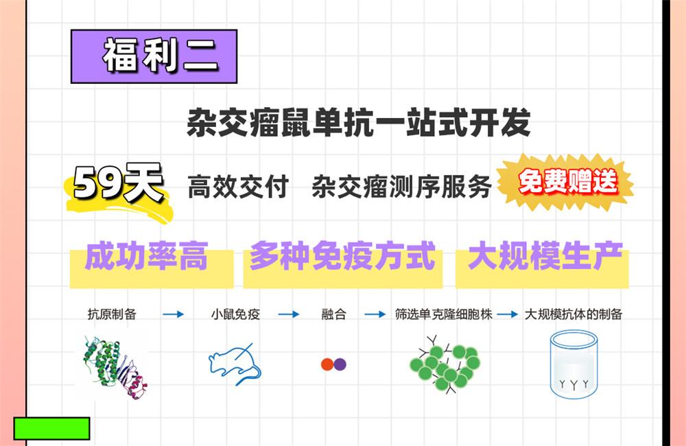 愛在七夕，更在朝夕