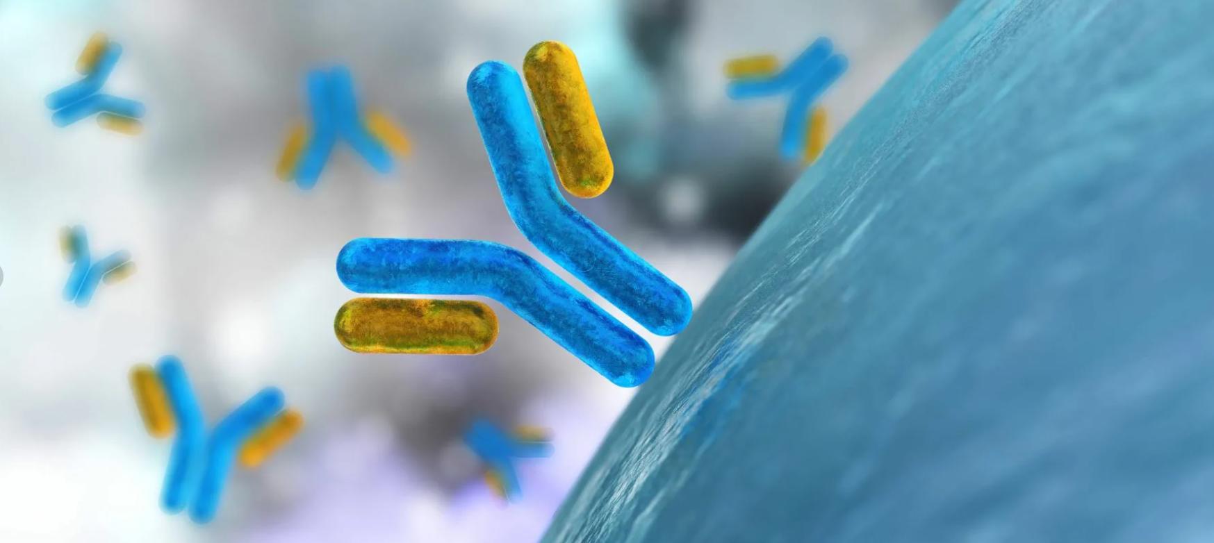 新一代″生物技術導彈″——對腫瘤免疫策略有重大意義的納米抗體（上）