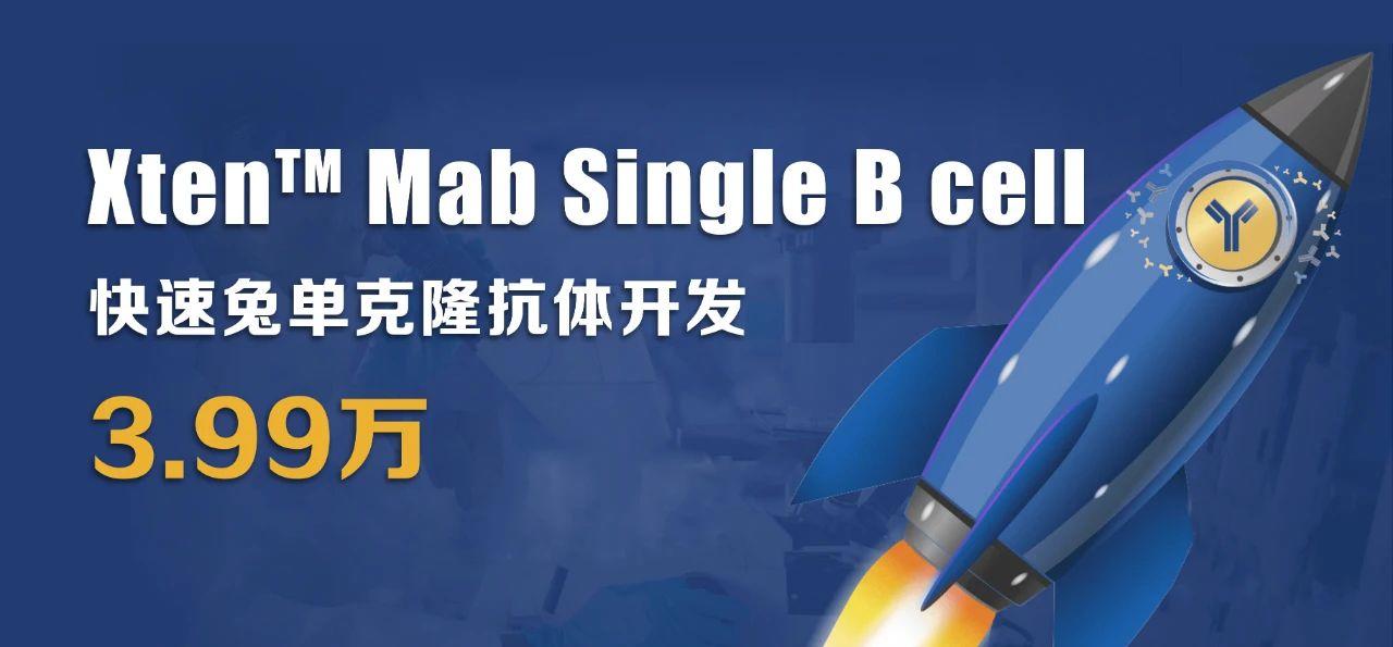 利用兔單B細(xì)胞技術(shù)制備高親和力、多種表位的抗獨(dú)特型單克隆抗體