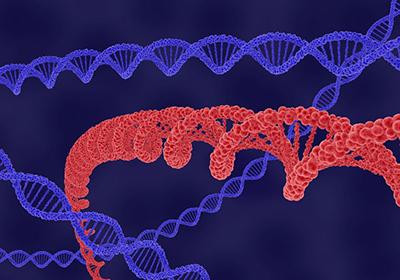 盤點(diǎn)在重組蛋白表達(dá)和純化過程中會(huì)遇到的問題