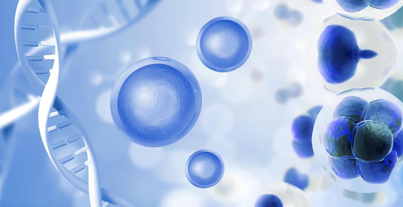 CD133、CD44、CD11b在急性髓系白血病中的表達(dá)及其與臨床預(yù)后的相關(guān)性研究